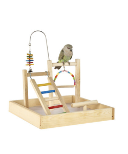 Liberta Wooden Parrot Table Top Play Stand